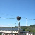 DSCN2721