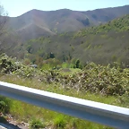 DSCN2613