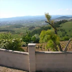 DSCN2771