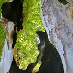 49-IMG_2235