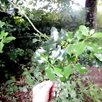 DSCN4577