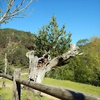 DSCN8998