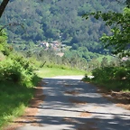 Imagen 006