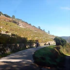 DSCN4644