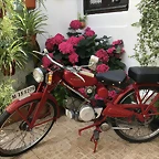 guzzi_patio