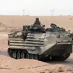 AAV