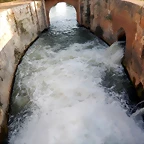 DSCN9467