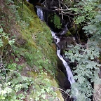 DSCN1397