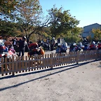 DSCN1004