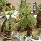 Imgenes Open Mixto 2011 - 2 dia 027 (Small)