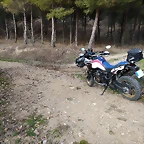 Trans_GIVI