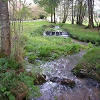 DSCN6227