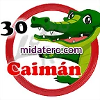 caiman