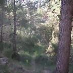 PICT0180