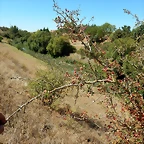 DSCN8090