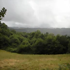 DSCN4725