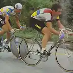 MOSER_HINAULT_1984