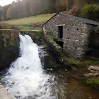 DSCN0579