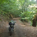 IMG_20220808_154410_1
