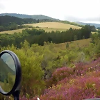 DSCN1342