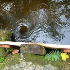 DSCN5768