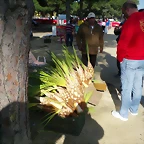 IMAG0002