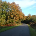 DSCN4646