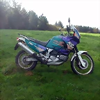 DSCN4690