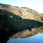DSCN6464