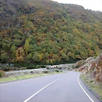 DSCN5919