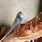 20180805_124827