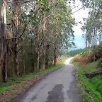 DSCN6239