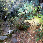 DSCN8004