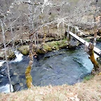 DSCN3961