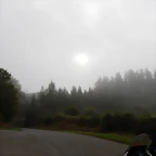 DSCN6824