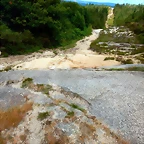 DSCN6347