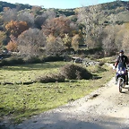 DSCN6925
