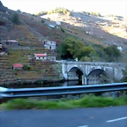 DSCN6510