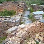 DSCN4224