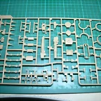 DSCN3604