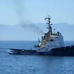 1073773