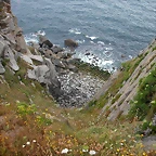 DSCN3244