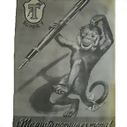 19259611