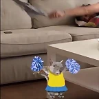 Video Mar?a IG Stories 5-6-2018 (3)