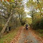 DSCN9909