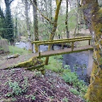 DSCN0537