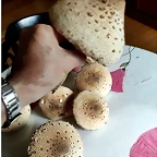DSCN3741'2