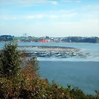 DSCN3325