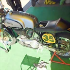 DSCN5654