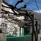 DSCN2477